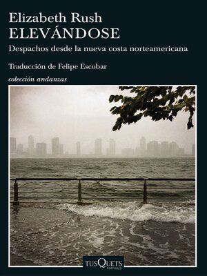 cover image of Elevándose